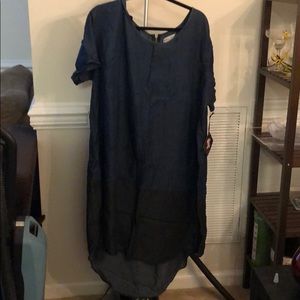 Plus Size Chambray Dress